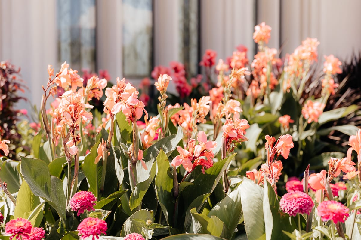 Salt-Lake-City-Photographer-AlexaRafaelWedding-005