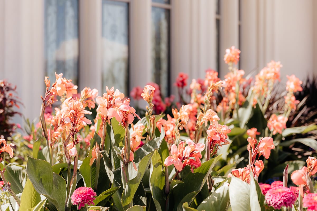 Salt-Lake-City-Photographer-AlexaRafaelWedding-006