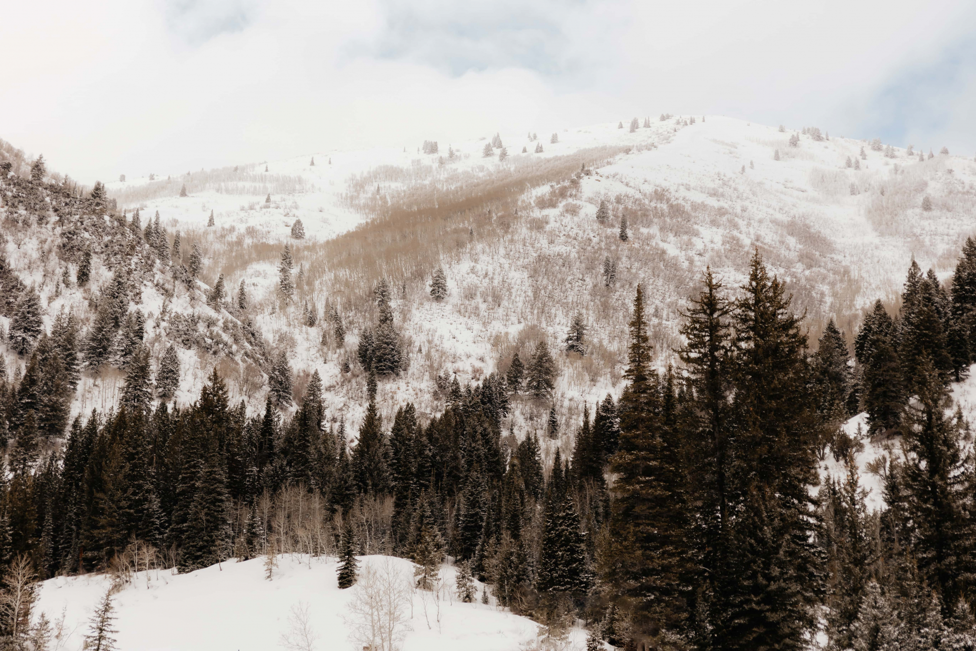 Snowy-Mountain-Engagements-001