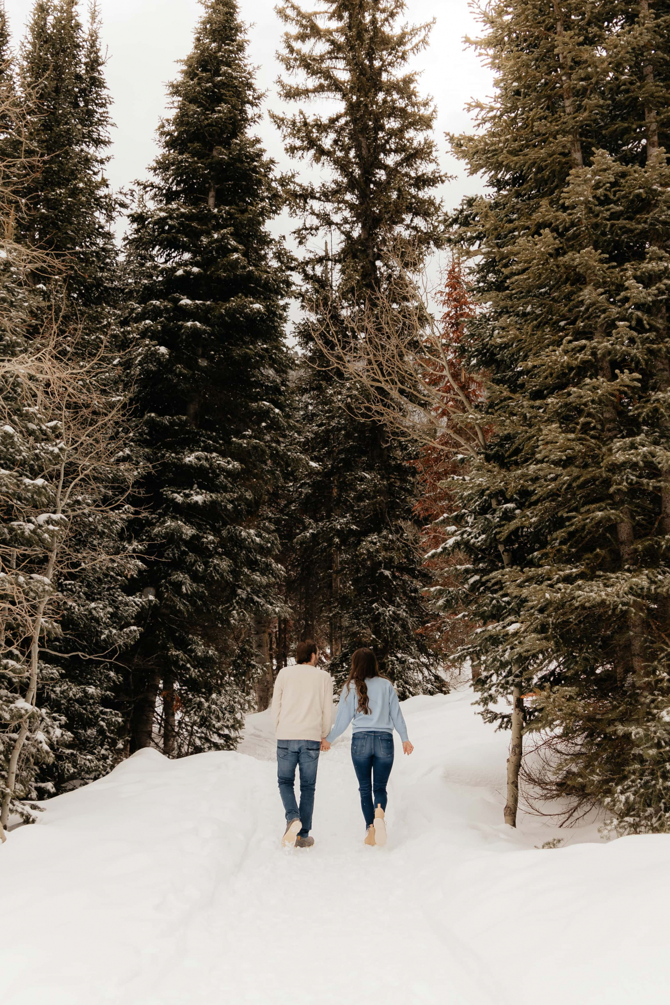 Snowy-Mountain-Engagements-013