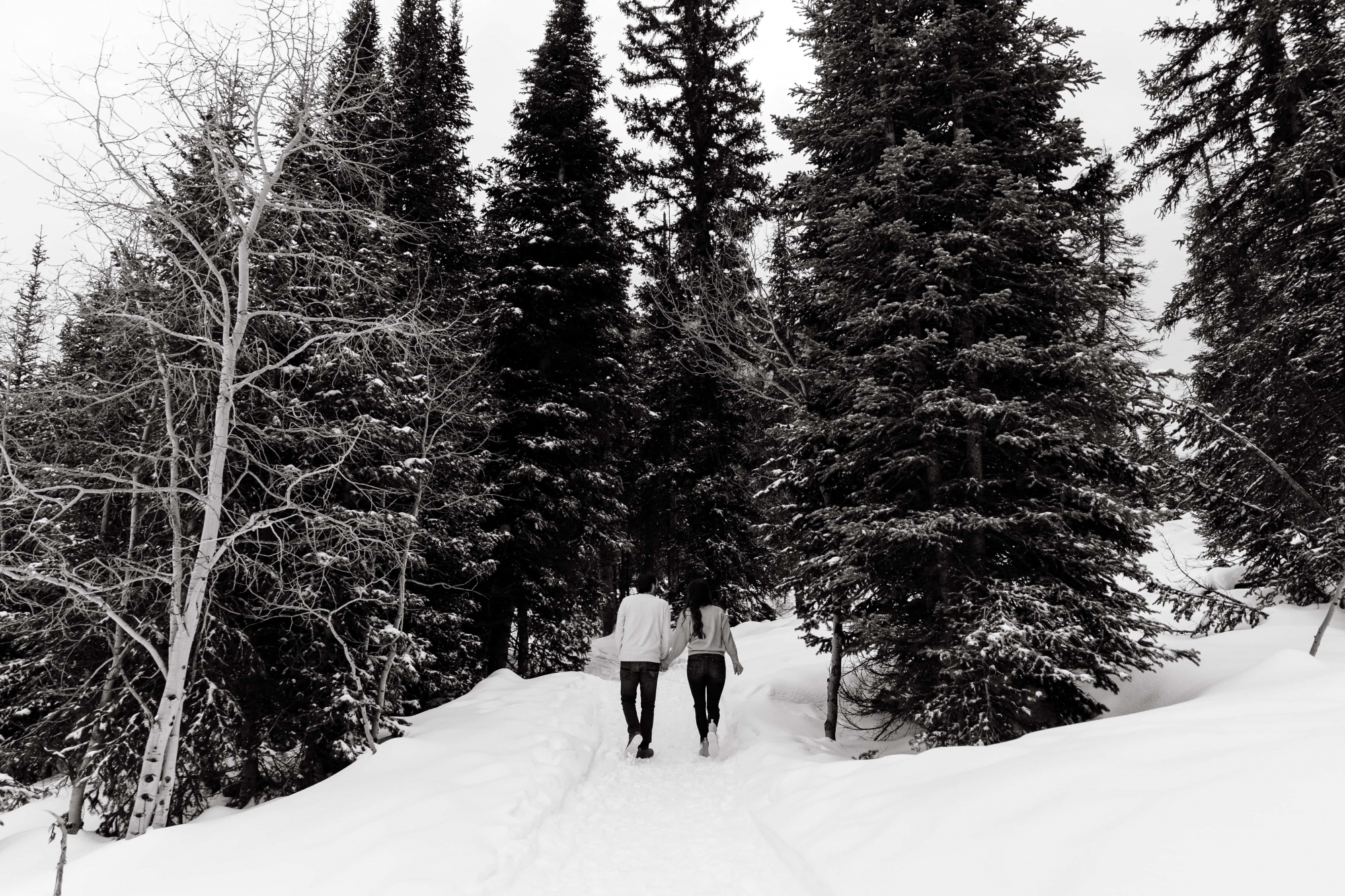 Snowy-Mountain-Engagements-014