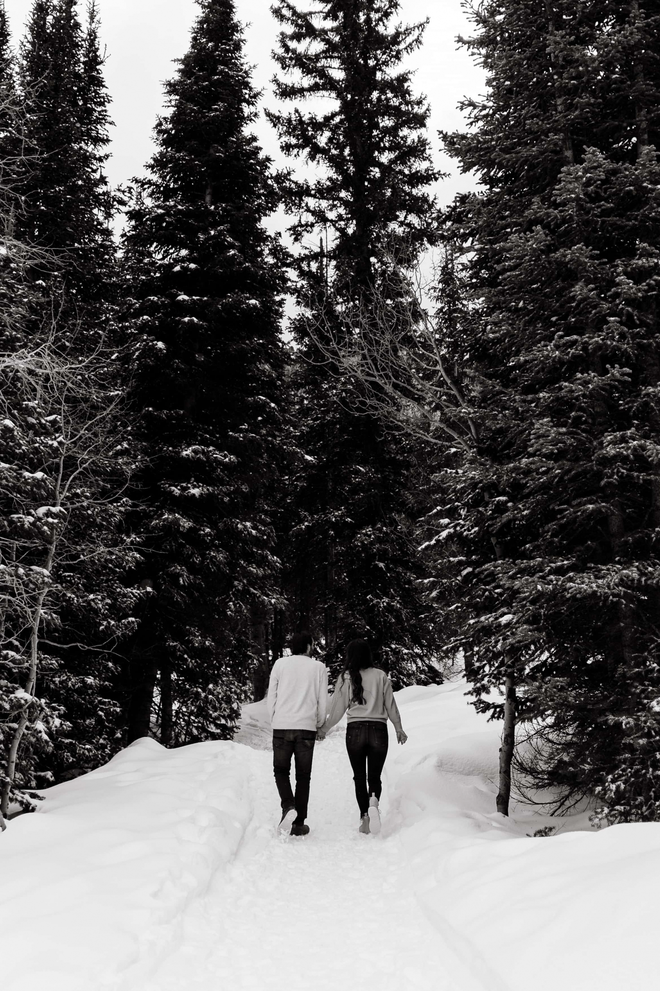 Snowy-Mountain-Engagements-015