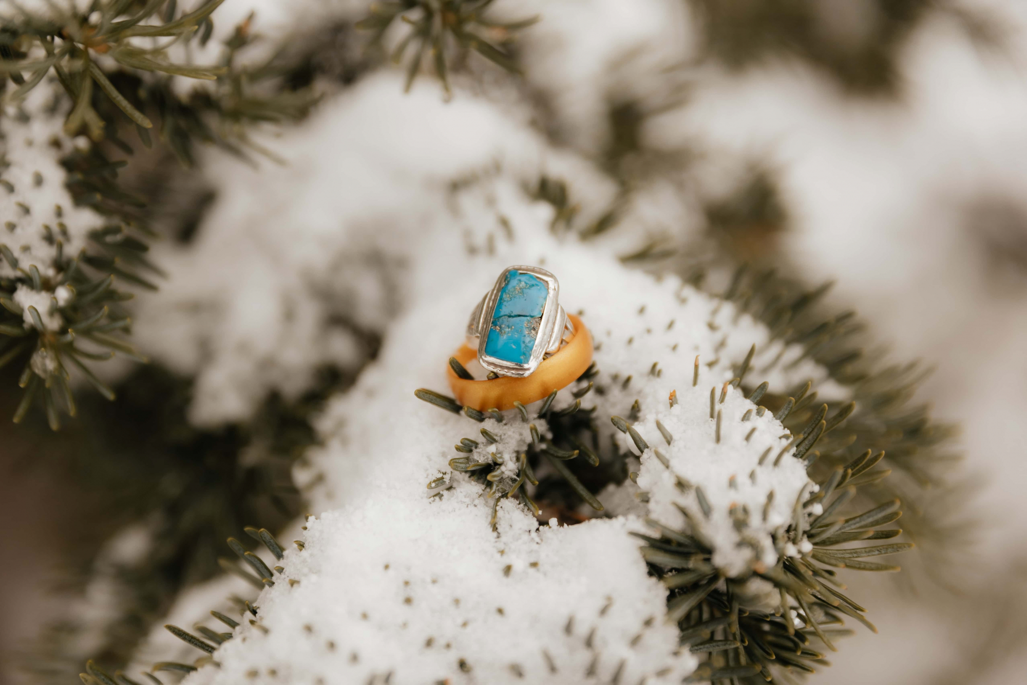 Snowy-Mountain-Engagements-063