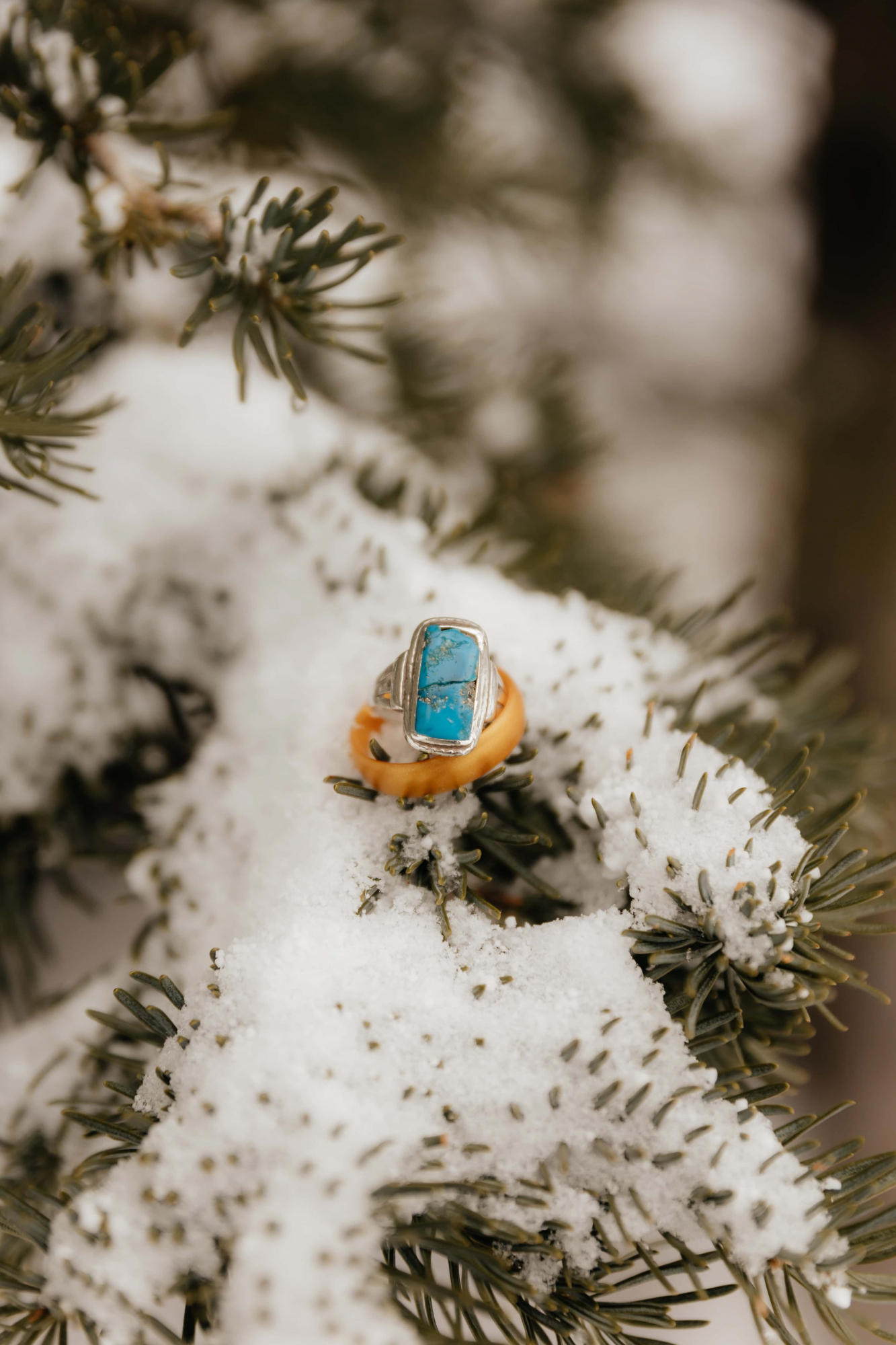 Snowy-Mountain-Engagements-064