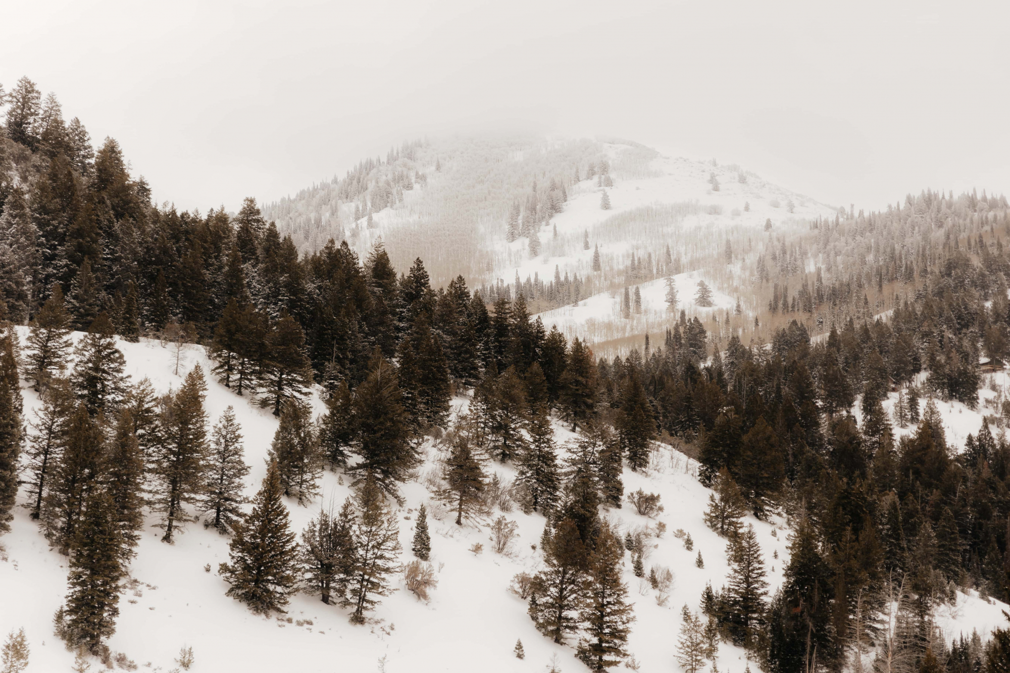 Snowy-Mountain-Engagements-065
