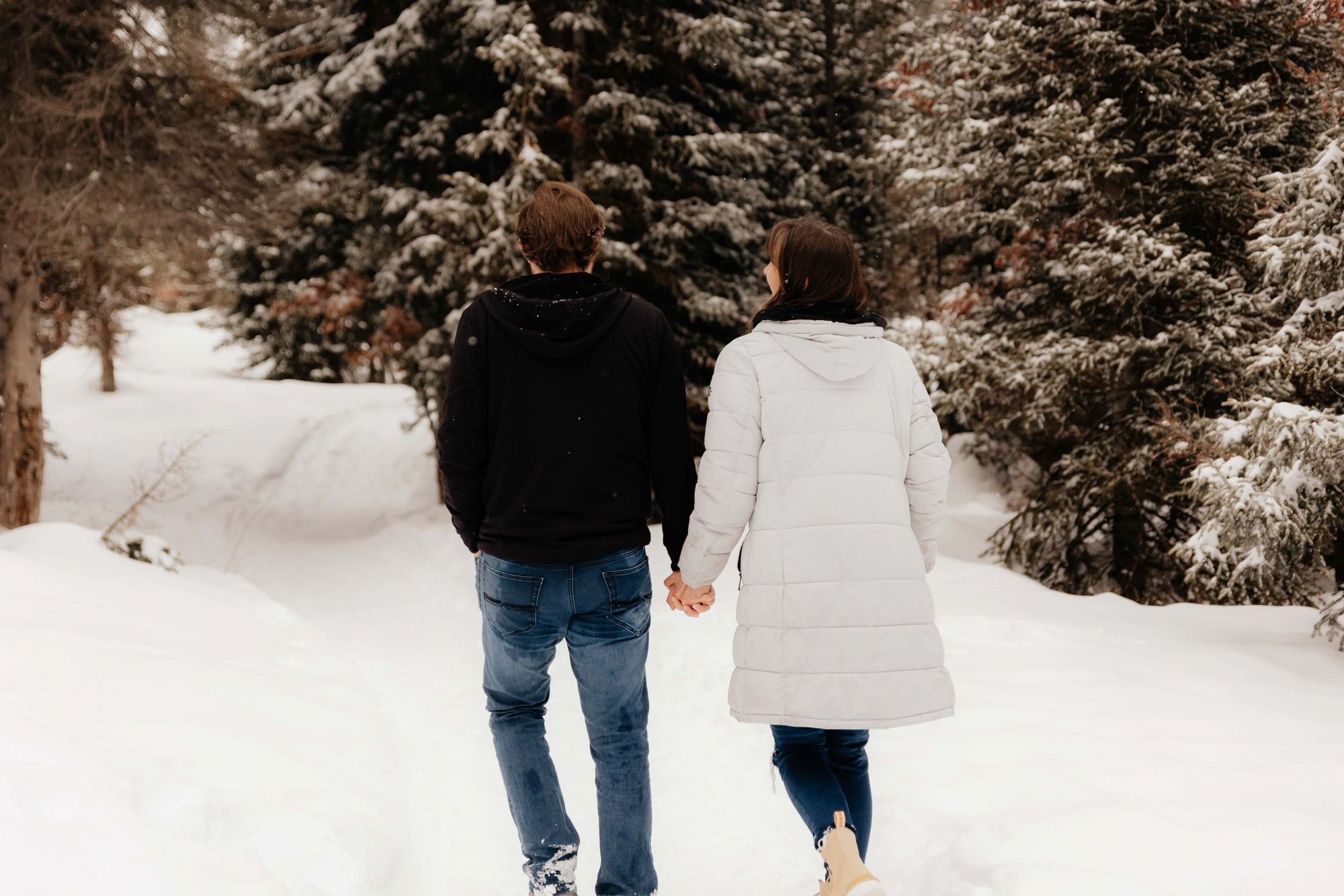 Snowy-Mountain-Engagements-284