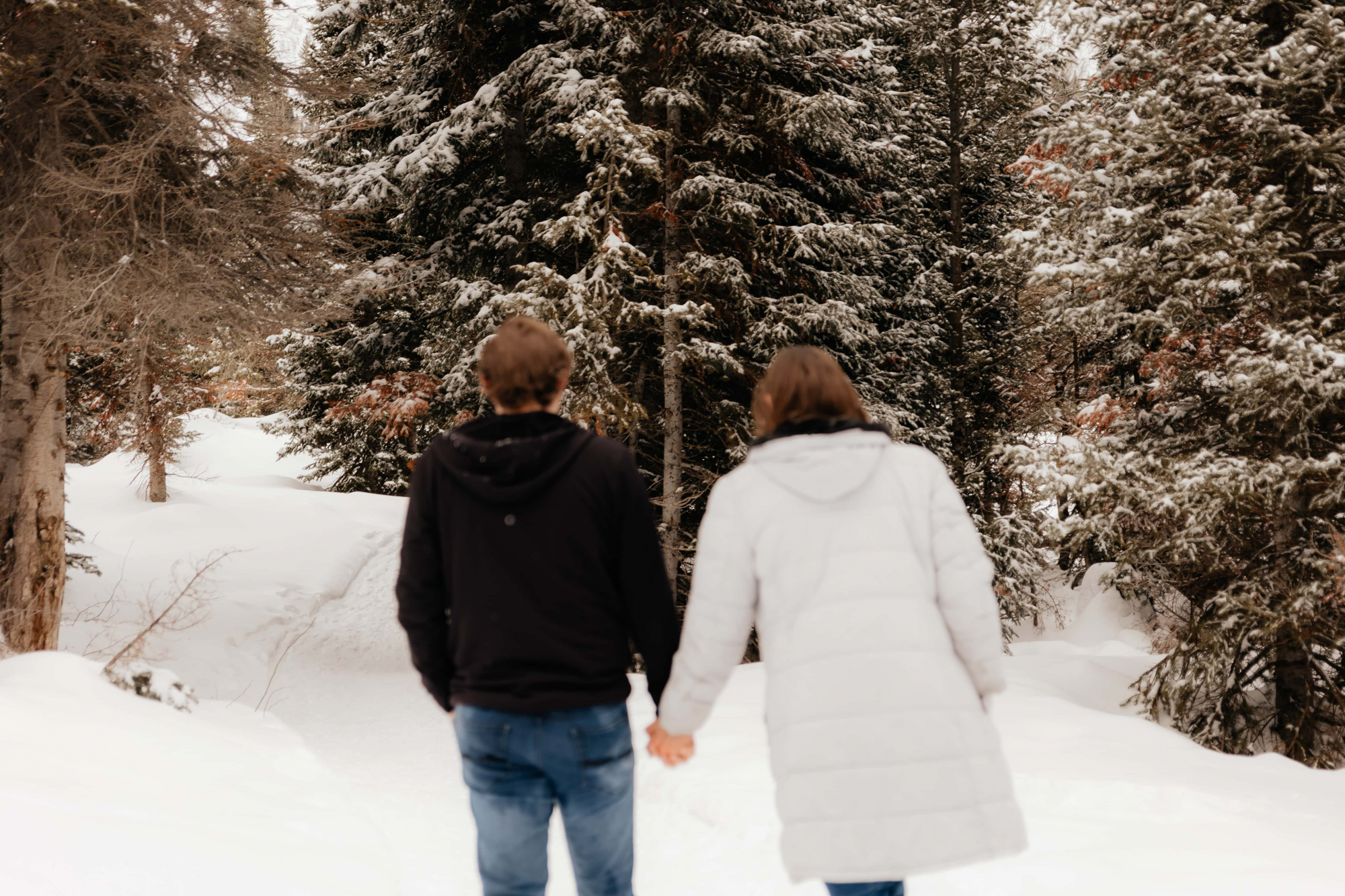 Snowy-Mountain-Engagements-285