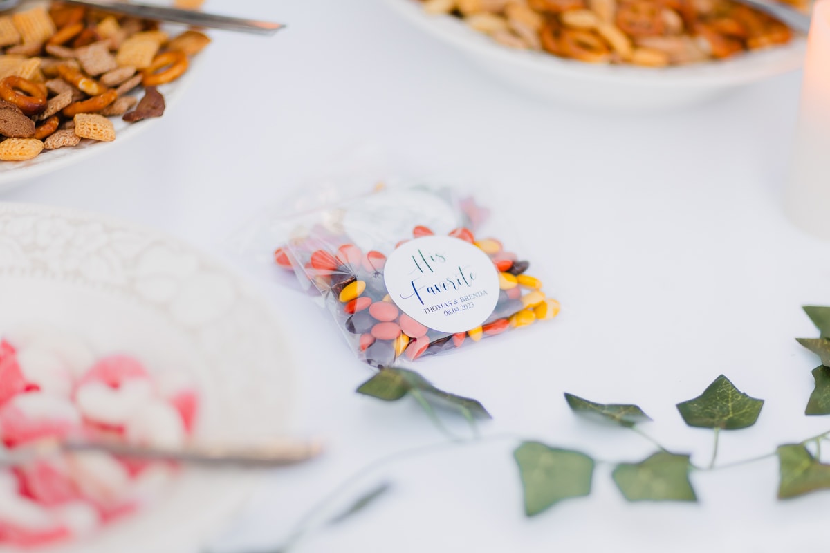 SaltLakeCityPhotographer-TommyBrendaWedding-341