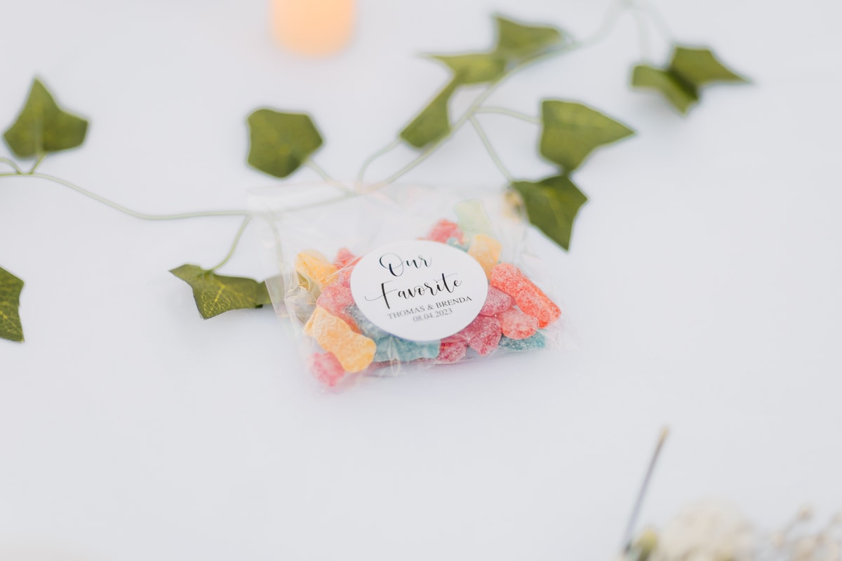 SaltLakeCityPhotographer-TommyBrendaWedding-342