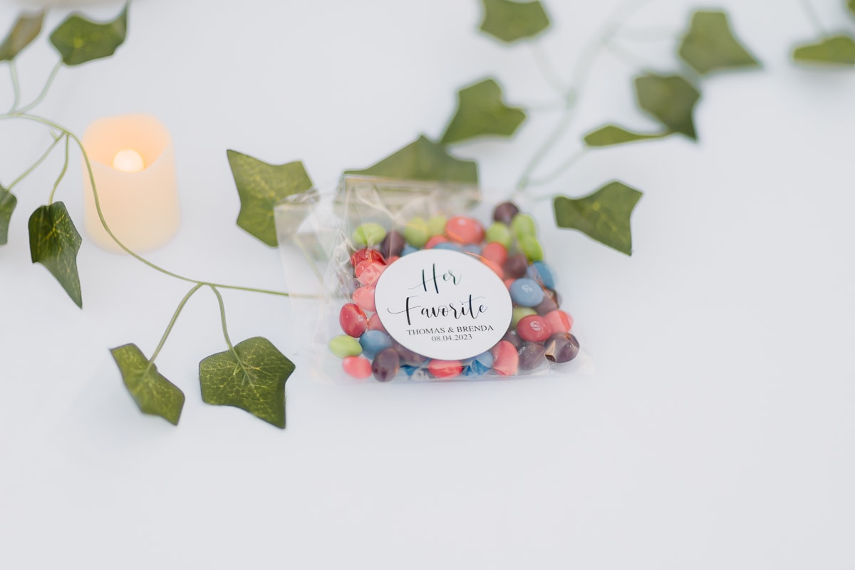 SaltLakeCityPhotographer-TommyBrendaWedding-343