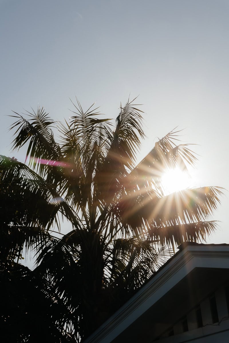 Laguna-Beach-Wedding-ConnieMichael-001