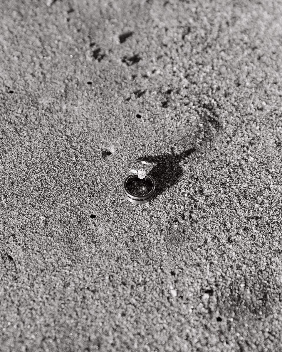 Laguna-Beach-Wedding-ConnieMichael-194