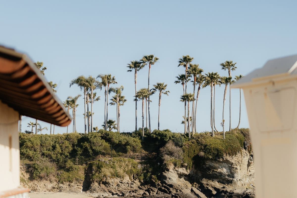 Laguna-Beach-Wedding-ConnieMichael-213