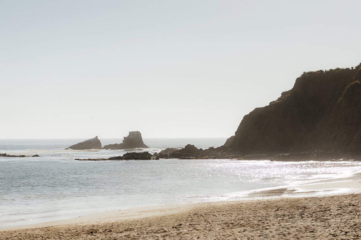 Laguna-Beach-Wedding-ConnieMichael-234