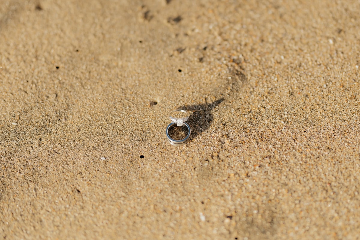 Laguna-Beach-Wedding-ConnieMichael-280