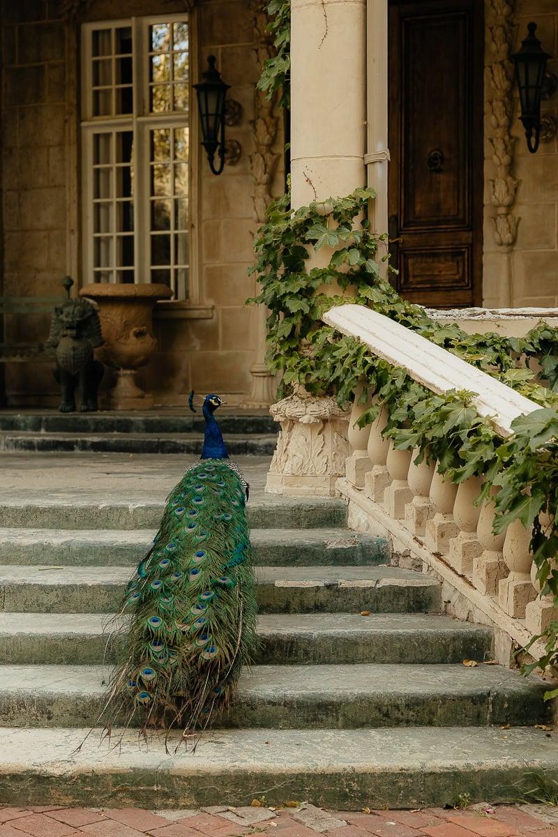 La-Caille-Wedding-29